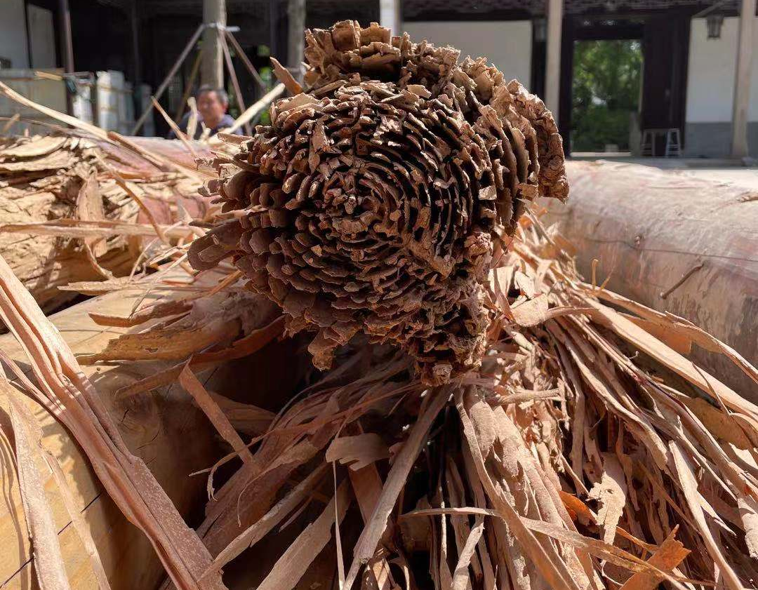 �Ž��������ܰ����ֺ�