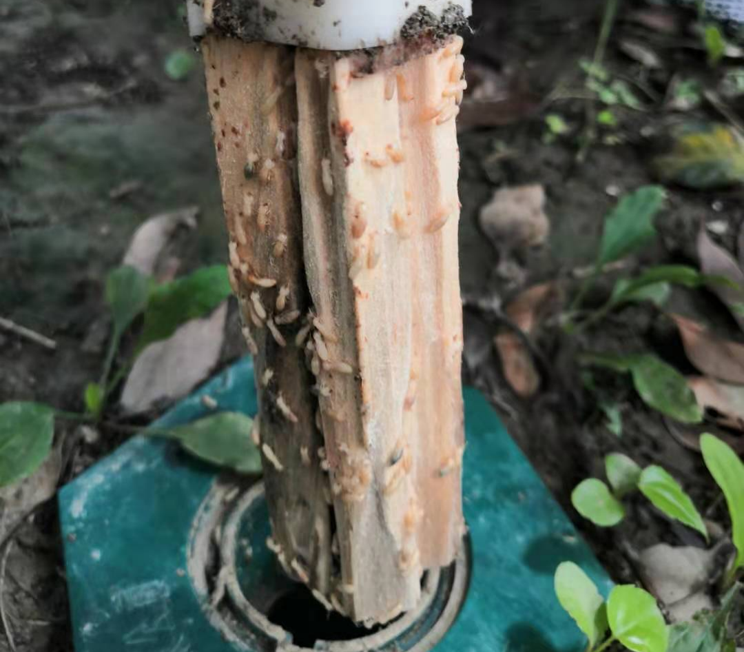 ��վ�еİ���