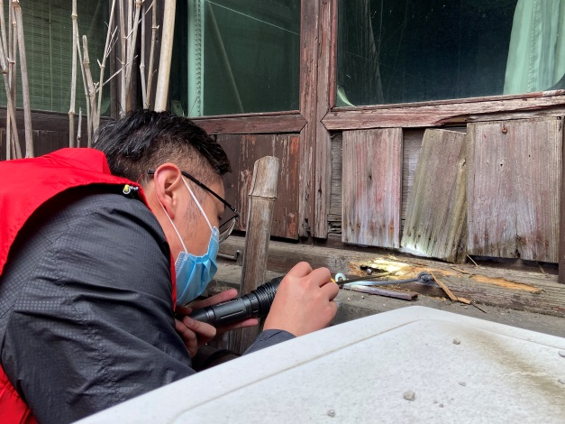 ������Ա���Ž�